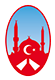 Türk Federasyon