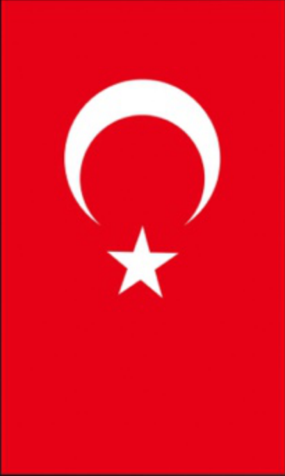 Türk bayrağı · dikey